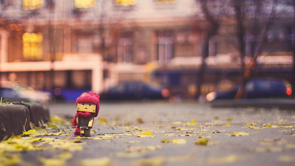 Фото Третье путешествие человечка из картонных коробок по России (39  фото) из раздела  /