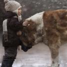 Фото Дети и собаки: лицом к лицу (чудесная подборка из 27 милых фото) из раздела  /