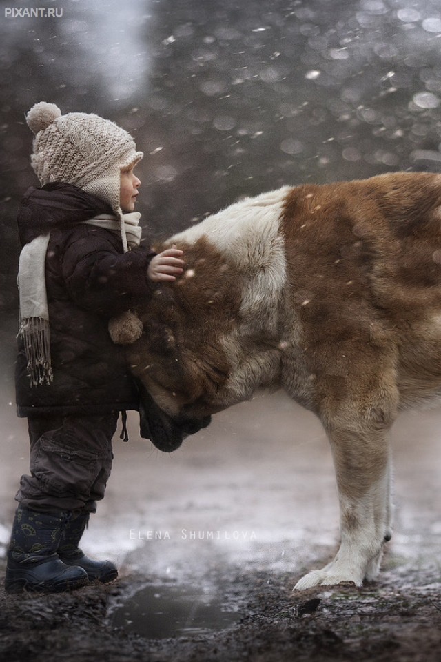 Фото Дети и собаки: лицом к лицу (чудесная подборка из 27 милых фото) из раздела  /