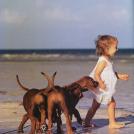 Фото Дети и собаки гуляют вместе (подборка из 24 фото) из раздела  /