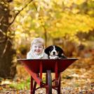 Фото Ща погоняем! из раздела  /