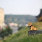 Фото Данбо в России 2: путешествие человечка из картонных коробок (34  фото) из раздела  /