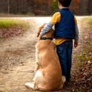 Фото Дети и собаки гуляют вместе (подборка из 24 фото) из раздела  /