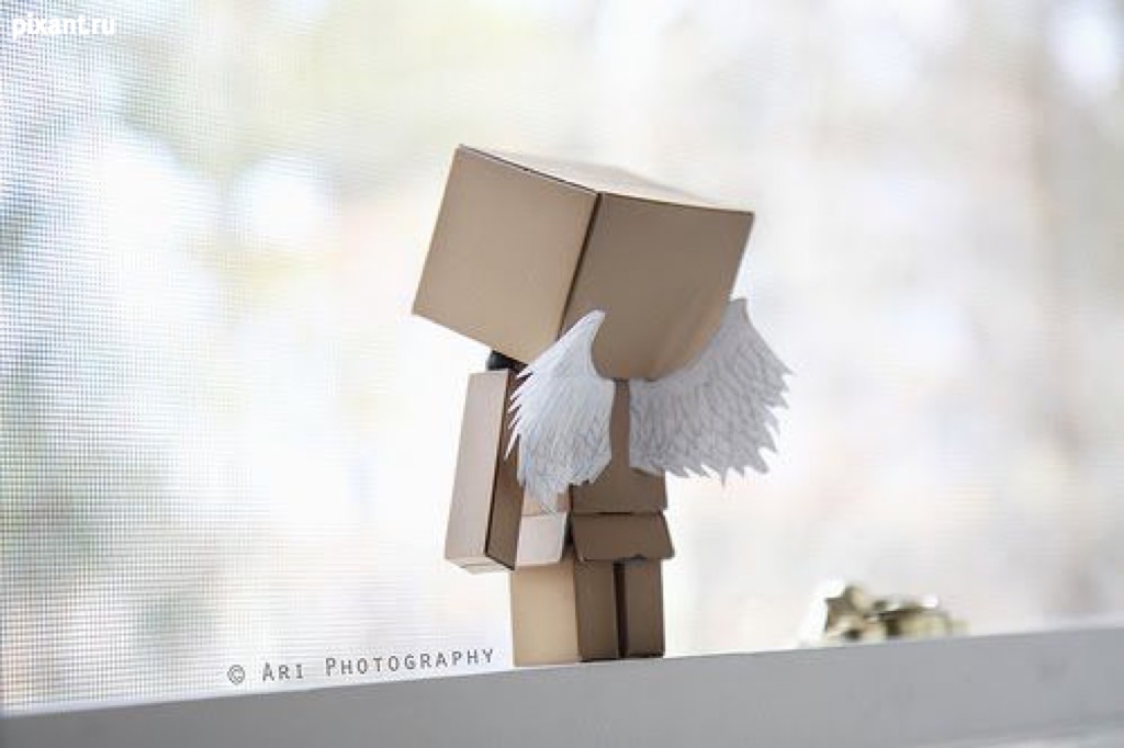 Фото Приключения человечка из картонной коробки Данбо: 131 фото из раздела  /