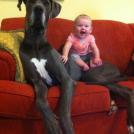 Фото Маленькие детки и собачки (подборка из 22 фото) из раздела  /