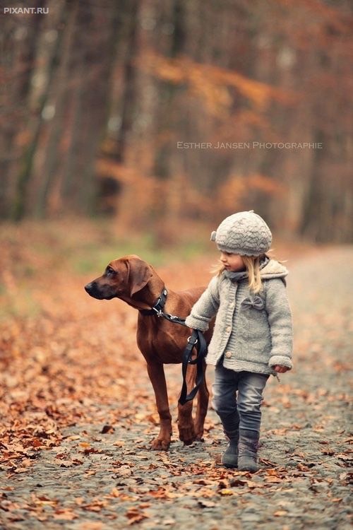 Фото Дети и собаки гуляют вместе (подборка из 24 фото) из раздела  /