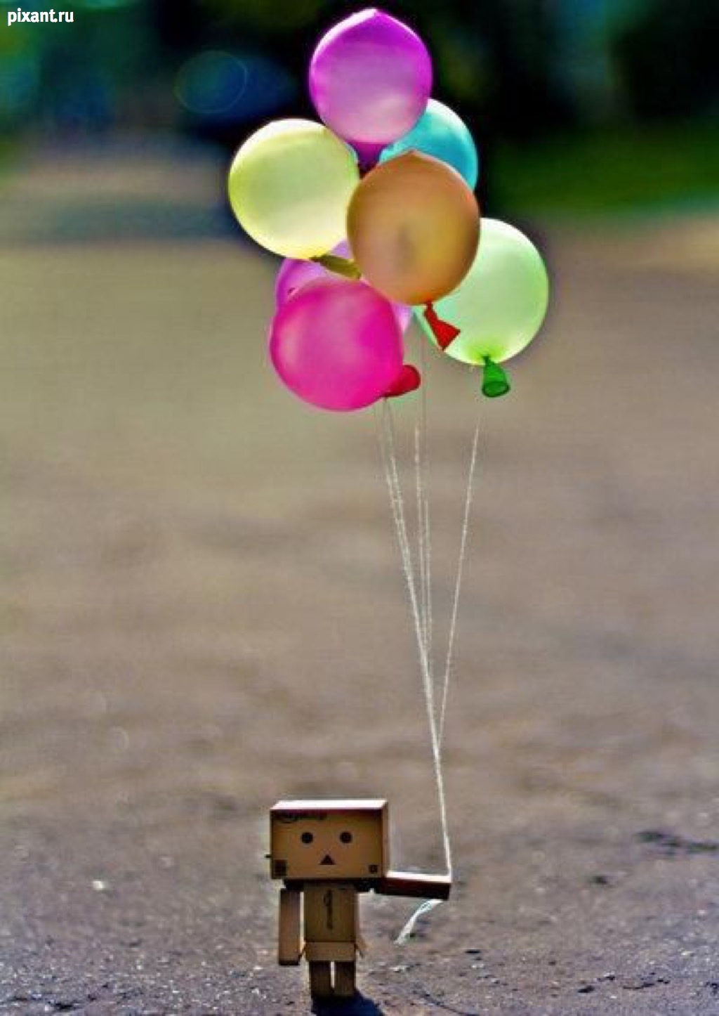 Фото Приключения человечка из картонной коробки Данбо: 131 фото из раздела  /