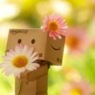 Фото Приключения человечка из картонной коробки Данбо: 131 фото из раздела  /