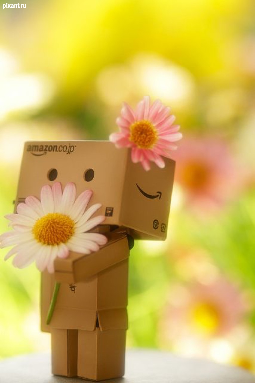 Фото Приключения человечка из картонной коробки Данбо: 131 фото из раздела /