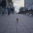 Фото Третье путешествие человечка из картонных коробок по России (39  фото) из раздела  /