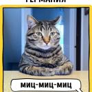 Фото Как в разных странах мира подзывают кошек из раздела  /