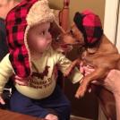 Фото Дети и собаки: лицом к лицу (чудесная подборка из 27 милых фото) из раздела /