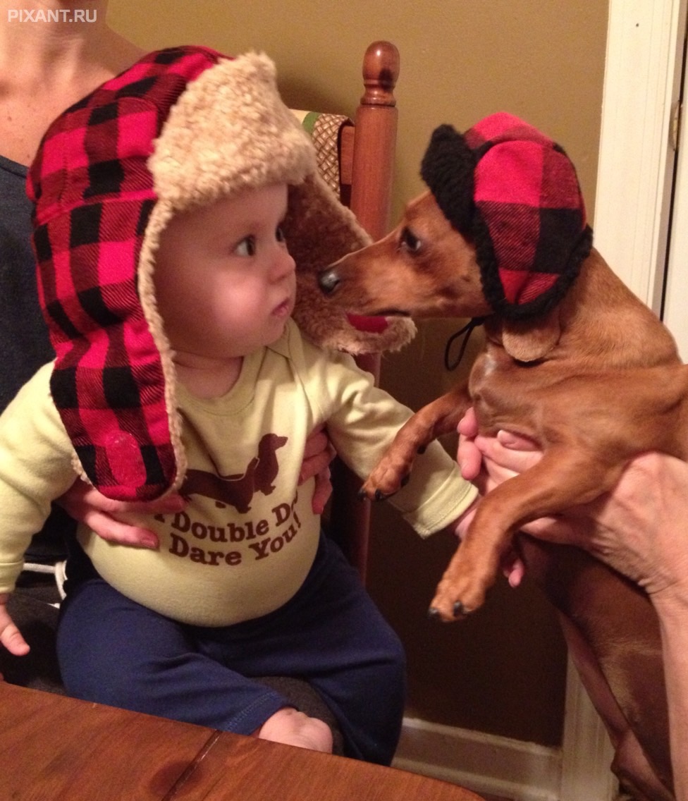 Фото Дети и собаки: лицом к лицу (чудесная подборка из 27 милых фото) из раздела  /