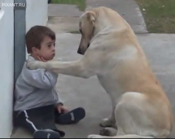 Фото Не ну че ты… из раздела  /