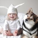 Фото Антенны настроены из раздела  /