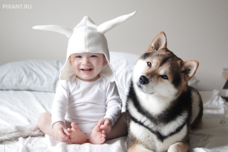 Фото Антенны настроены из раздела  /