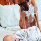 Фото Грудные дети и собаки (подборка из 35 фото) из раздела  /