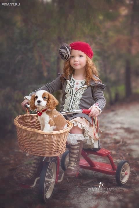 Фото Кортеж принцессы из раздела  /