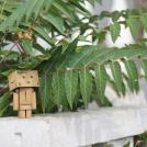 Фото Данбо в России 2: путешествие человечка из картонных коробок (34  фото) из раздела  /