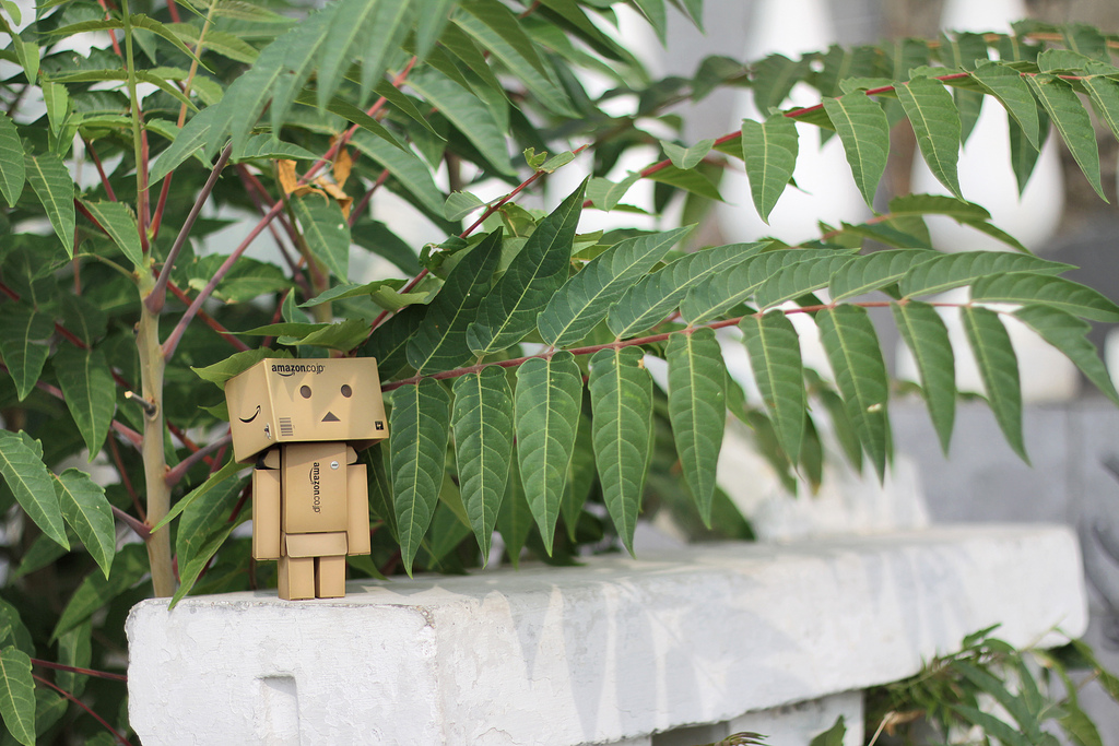 Фото Данбо в России 2: путешествие человечка из картонных коробок (34  фото) из раздела  /