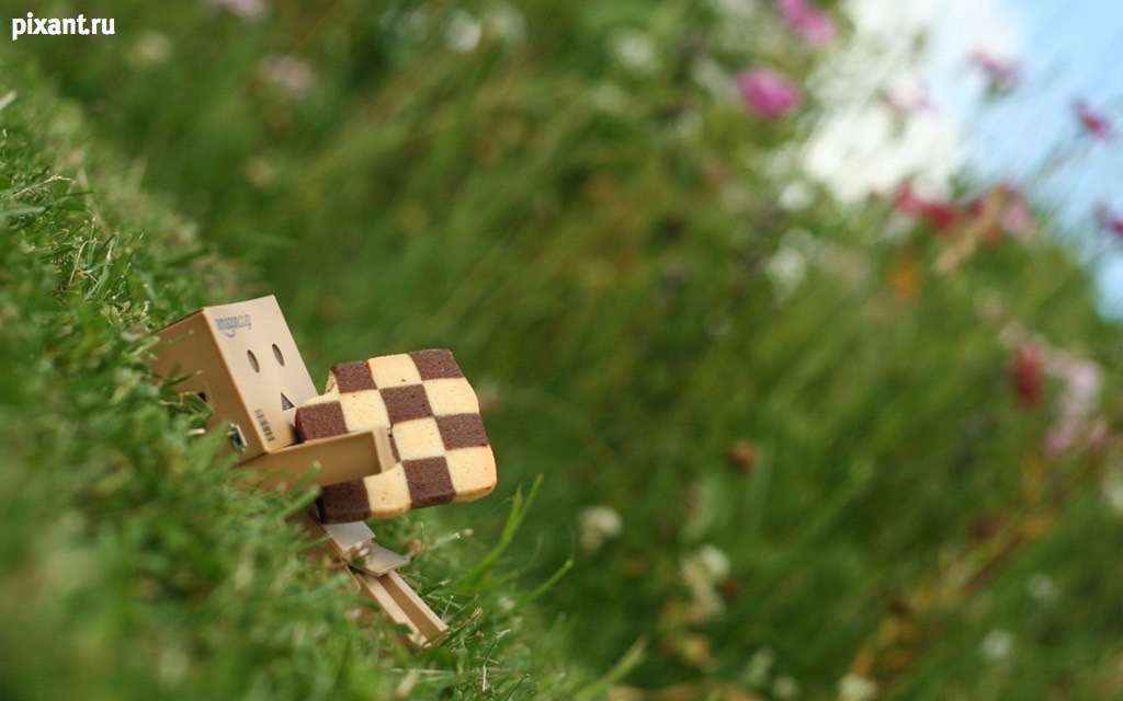 Фото Приключения человечка из картонной коробки Данбо: 131 фото из раздела /