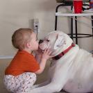 Фото Дети и собаки: лицом к лицу (чудесная подборка из 27 милых фото) из раздела  /