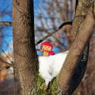 Фото Третье путешествие человечка из картонных коробок по России (39  фото) из раздела  /