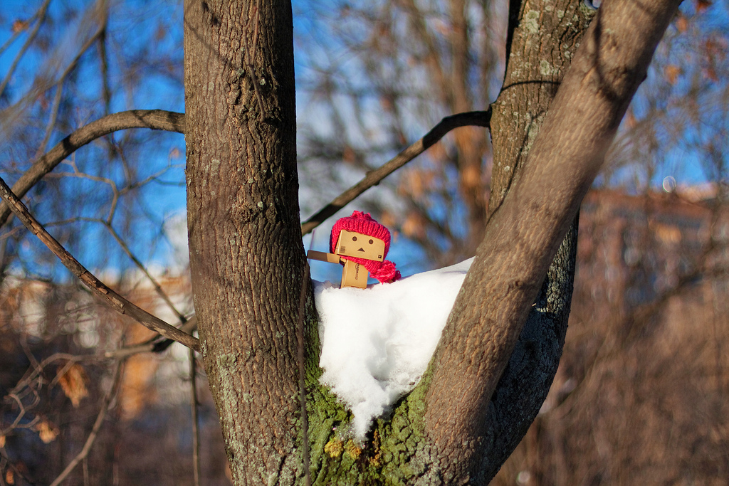 Фото Третье путешествие человечка из картонных коробок по России (39  фото) из раздела  /