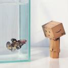 Фото Приключения человечка из картонной коробки Данбо: 131 фото из раздела  /