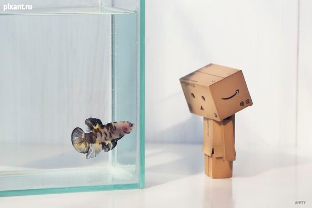 Фото Приключения человечка из картонной коробки Данбо: 131 фото из раздела  /