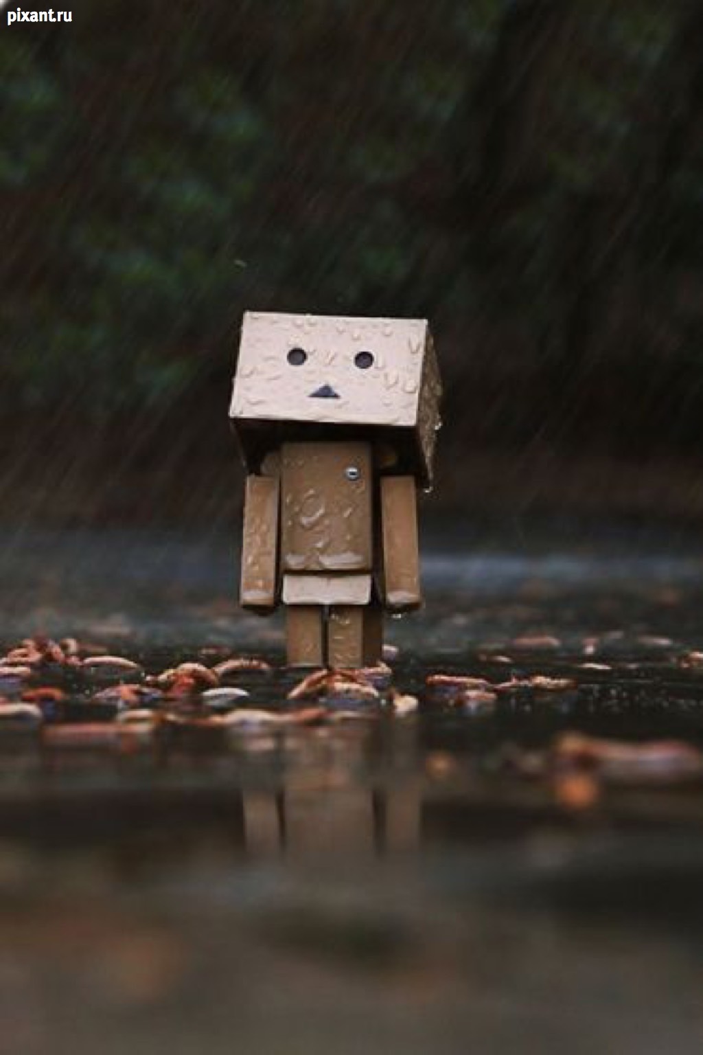 Фото Приключения человечка из картонной коробки Данбо: 131 фото из раздела  /