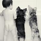 Фото Дети и собаки купаются вместе (позитивная подборка из 19 фото) из раздела  /