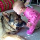 Фото Дети и собаки: лицом к лицу (чудесная подборка из 27 милых фото) из раздела  /