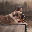 Фото Дети и собаки гуляют вместе (подборка из 24 фото) из раздела  /