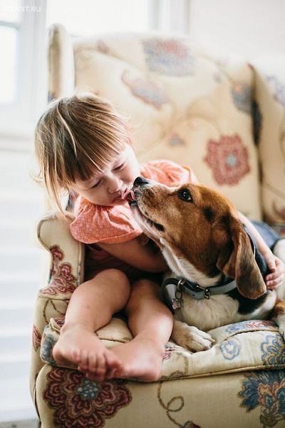 Фото Дети и собаки: лицом к лицу (чудесная подборка из 27 милых фото) из раздела  /