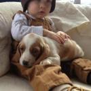 Фото Маленькие детки и собачки (подборка из 22 фото) из раздела  /