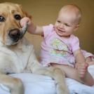 Фото Грудные дети и собаки (подборка из 35 фото) из раздела  /