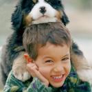 Фото Дети и собаки: обнимашки. Коллекция 51 супер милых фото из раздела  /