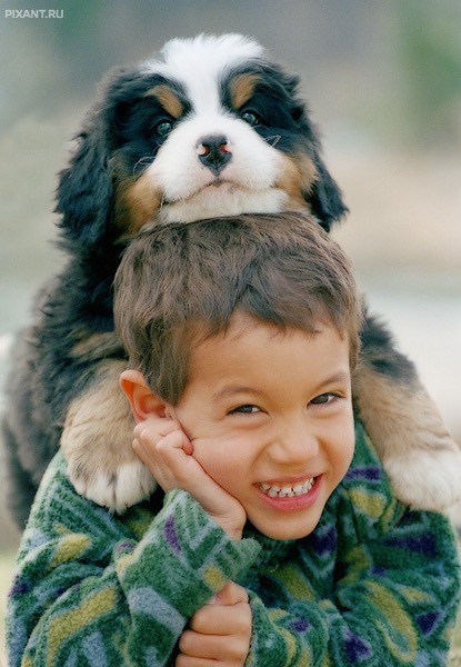 Фото Дети и собаки: обнимашки. Коллекция 51 супер милых фото из раздела  /