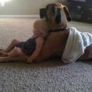 Фото Маленькие детки и собачки (подборка из 22 фото) из раздела  /