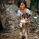 Фото Дети и собаки: лучшие друзья (подборка 20 фото) из раздела  /