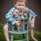 Фото Дети и собаки: обнимашки. Коллекция 51 супер милых фото из раздела  /