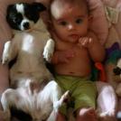 Фото Грудные дети и собаки (подборка из 35 фото) из раздела  /