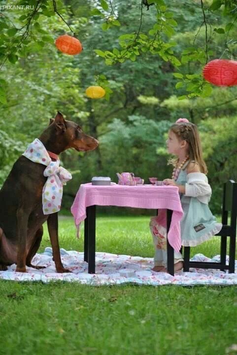 Фото Итак, безумный Шляпник, расскажи куда ты дел кролика… из раздела  /