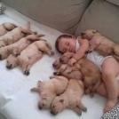 Фото Подборка из 21 милых фото: Спящие дети и собаки. Ми-ми-ми... из раздела  /