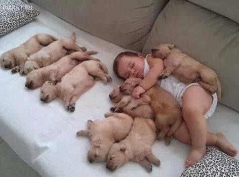 Фото Подборка из 21 милых фото: Спящие дети и собаки. Ми-ми-ми... из раздела  /