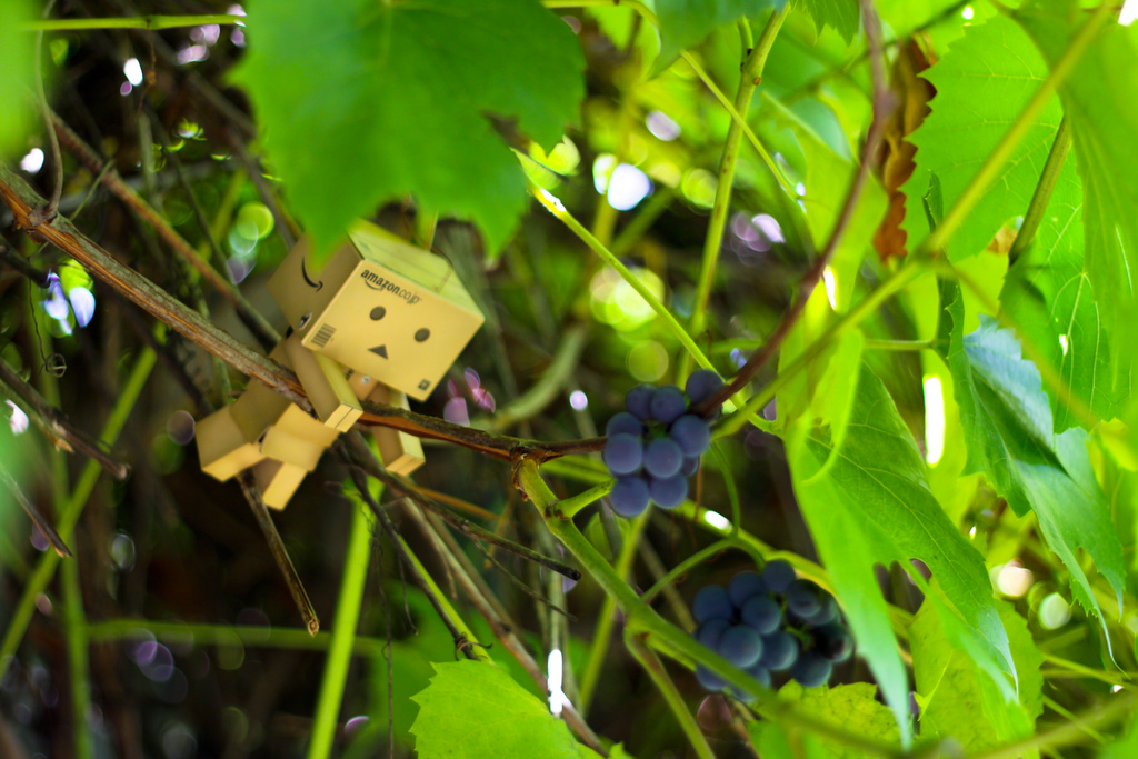 Фото Данбо в России 2: путешествие человечка из картонных коробок (34  фото) из раздела  /