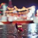 Фото Путешествие картонного человечка Данбо по России (24 фото) из раздела  /