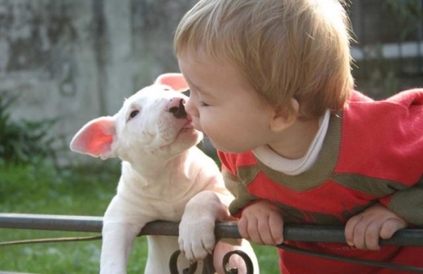 Фото Маленькие детки и собачки (подборка из 22 фото) из раздела  /