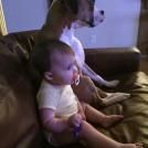 Фото Маленькие детки и собачки (подборка из 22 фото) из раздела  /